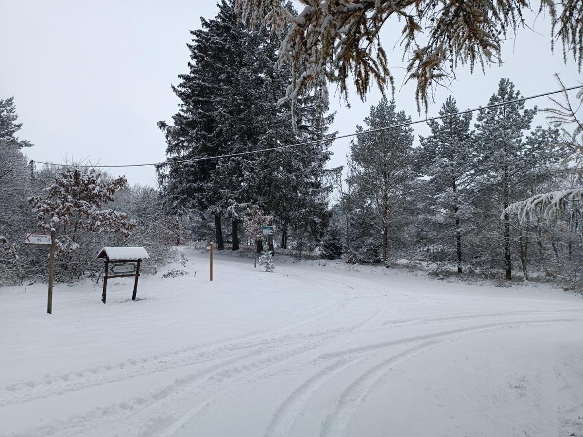 Rykowisko - Domki Caloroczne Nad Jeziorem I Rzeka Szczecinek Dış mekan fotoğraf